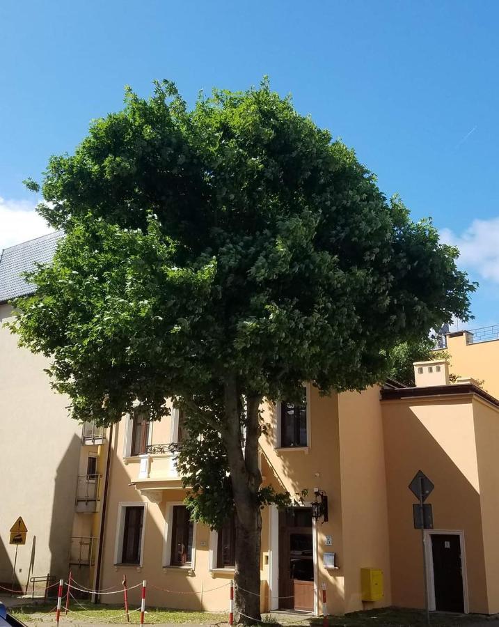 Apartamenty Na Cichej 5 A3 Kolberg Exterior foto